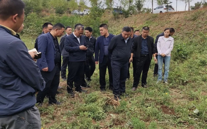 天水市政協(xié)副主席、清水縣委書記馬越垠到“榮程百草莊園”中藥材試驗基地調(diào)研中草藥產(chǎn)業(yè)發(fā)展工作