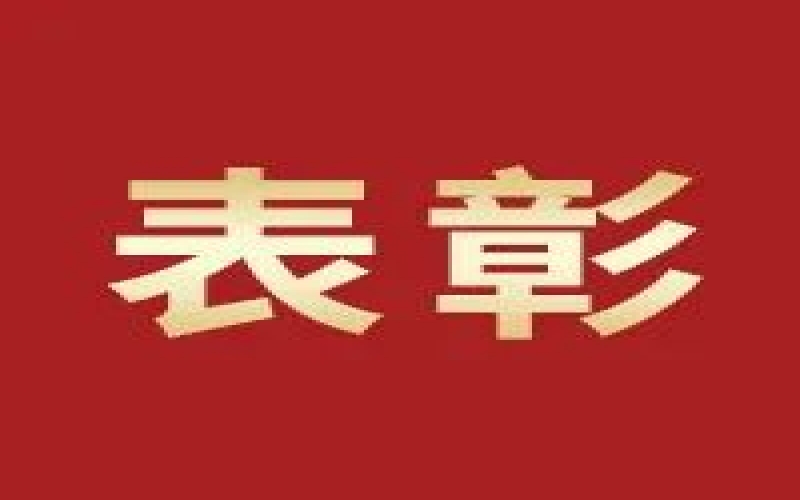奮進(jìn)2023，這些集體和個(gè)人無(wú)上“榮”光