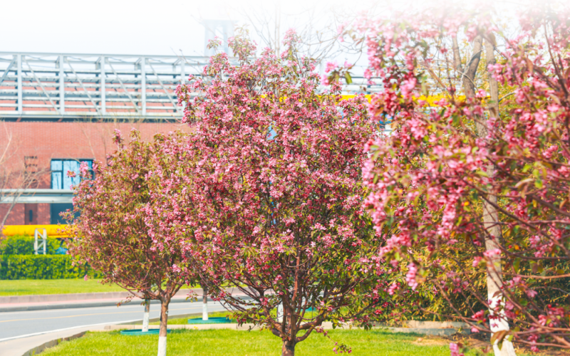榮程視覺 - 來，一起走進春天里的榮程鋼鐵
