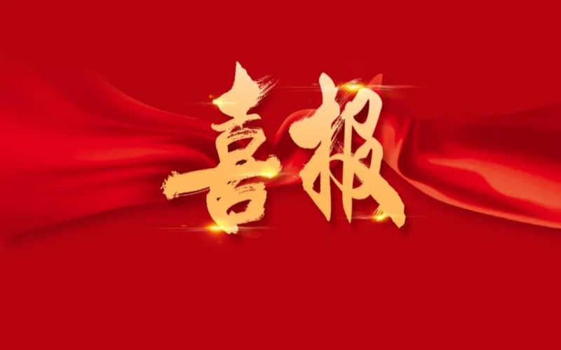 喜報！榮程集團入選2025年企業(yè)數(shù)字化綠色化協(xié)同轉(zhuǎn)型發(fā)展典型案例